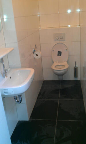 Toiletruimte na renovatie.